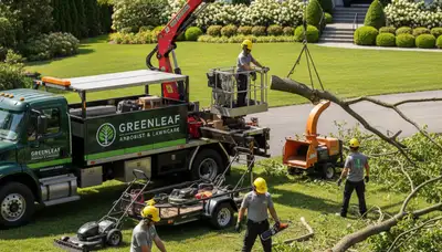 Professional lawn and tree service in Allen, TX by Chop Chop Tree experts
