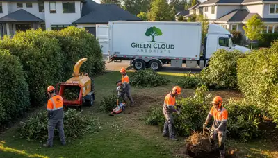 Professional shrub removal service in Allen, TX clearing overgrown bushes for a tidy landscape